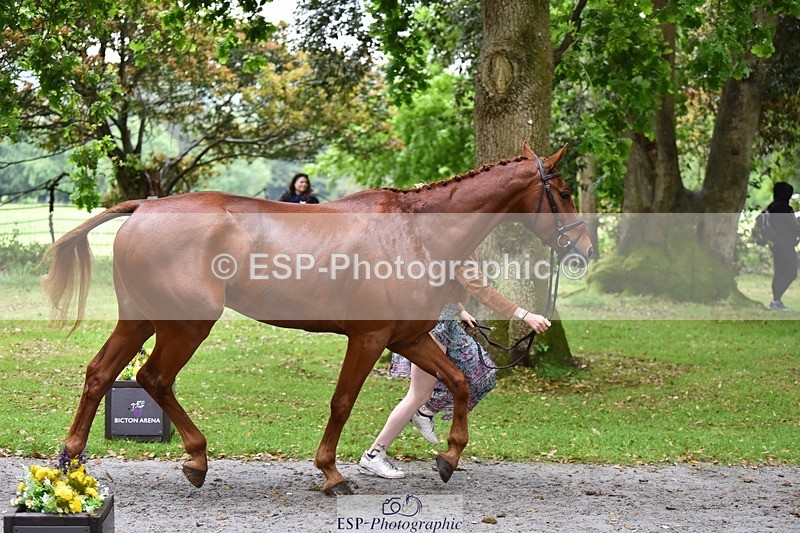 240522-163444-01020 - 212-RIVERSTOWN_ROYAL-Georgie_Frow