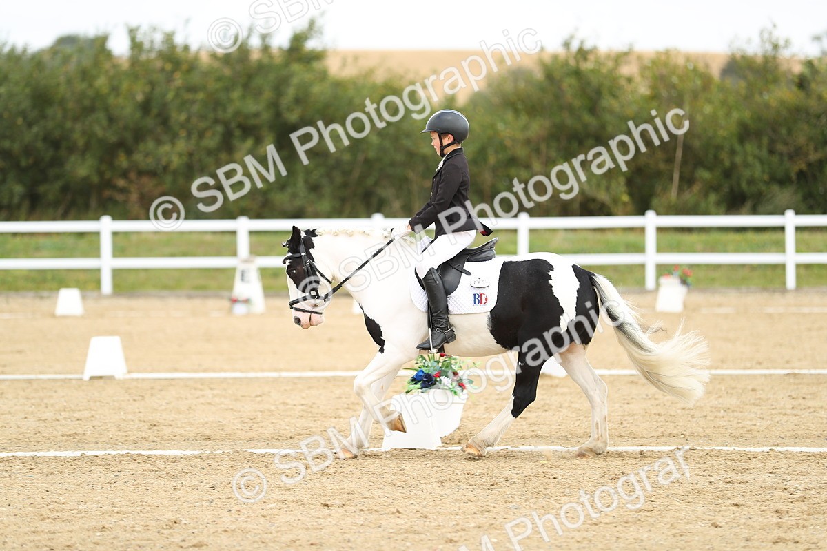 SBM_016345 - Class 13 - Novice 23 - 11.25-12.35