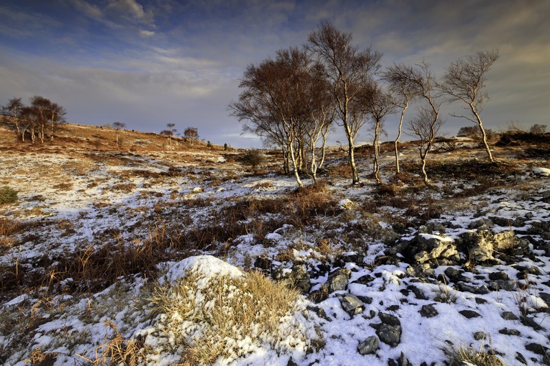 Winter's Dancers - Distant Hills