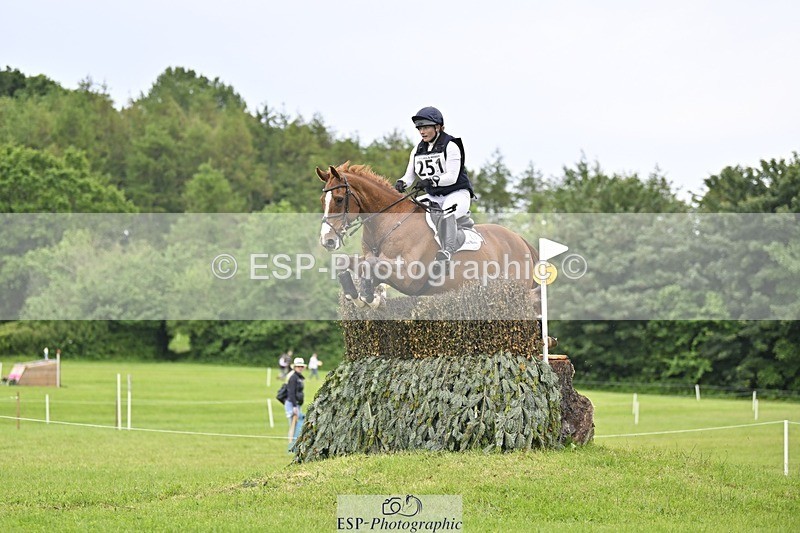 240525-161047-16987 - 251-MILESTONE_GOLD-Gaby_Bull