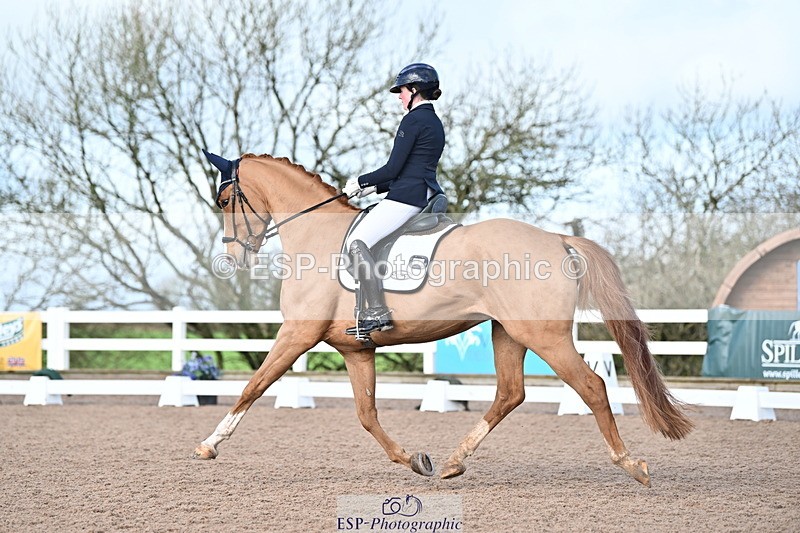 240218A-114200-06811 - 272-Beth.Bainbridge-Newton.Dreamcatcher