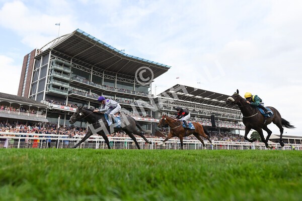 yr23072022r6-39 - Race 6 5.00pm Sky Bet Partnership with Support Dogs Stakes