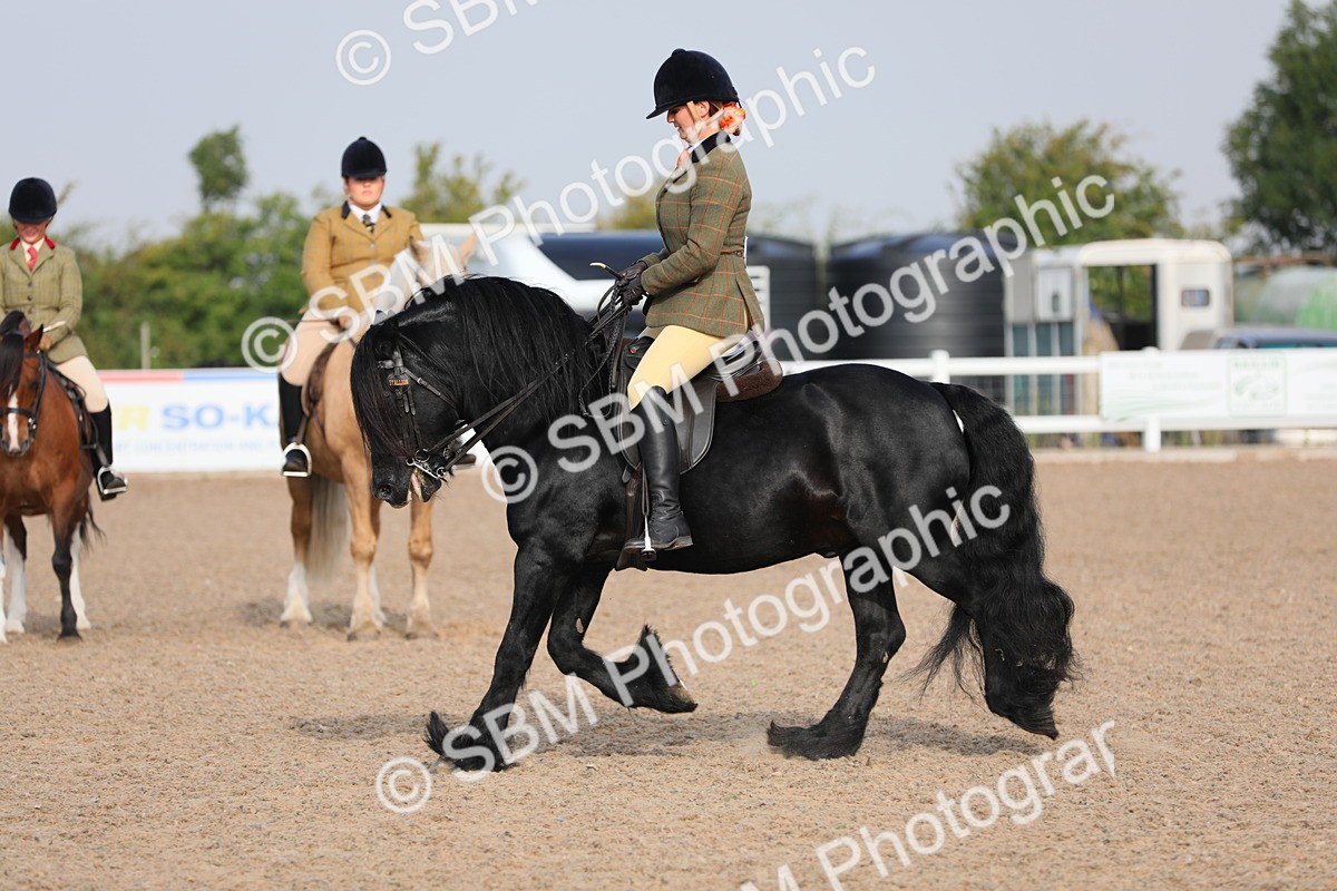 SBM_10123 - Class 302 Ridden M&M -Large Breeds