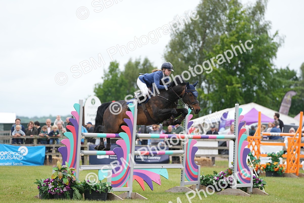 SBM_03040 - Class 201 - British Horse Feeds Speedi Beet Horse of the Year Show Grade  C