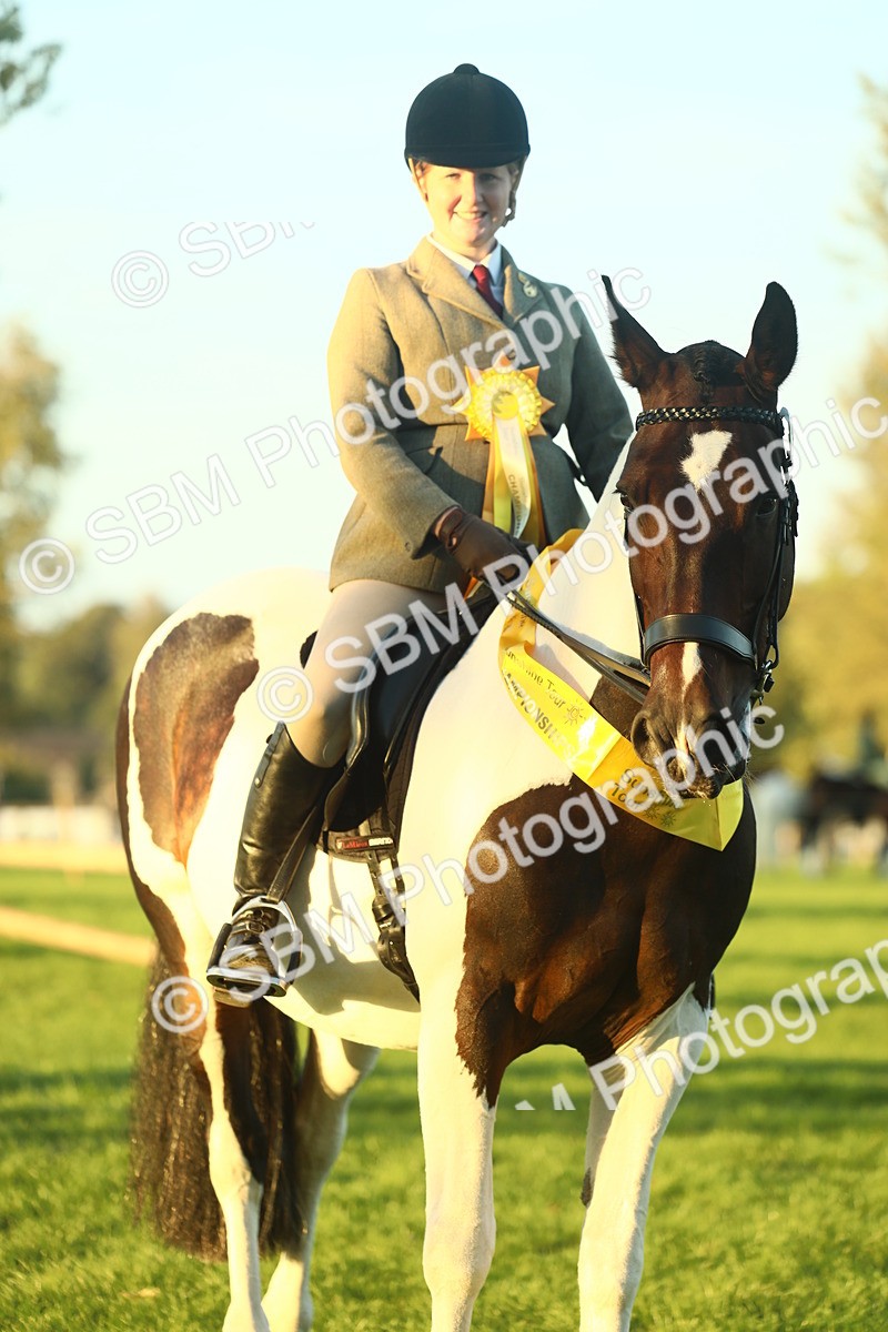 SBM_56528 - S14 - Riding Club Horse