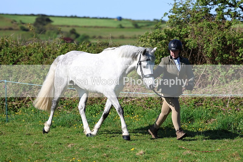 3E7A8582 - Class 13: M & M Large Breeds