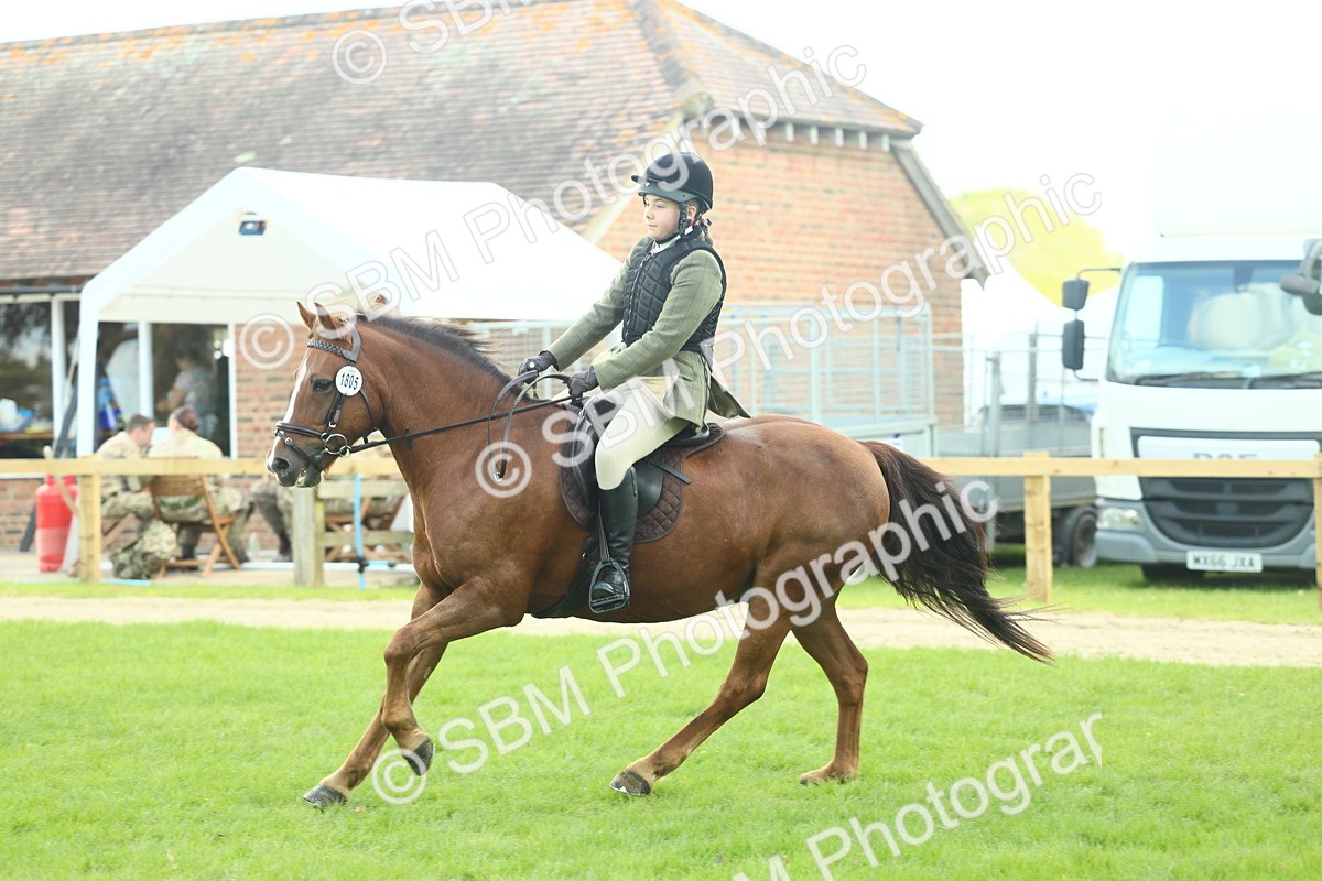 SBM_42897 - S30 - M&M Working hunter Pony