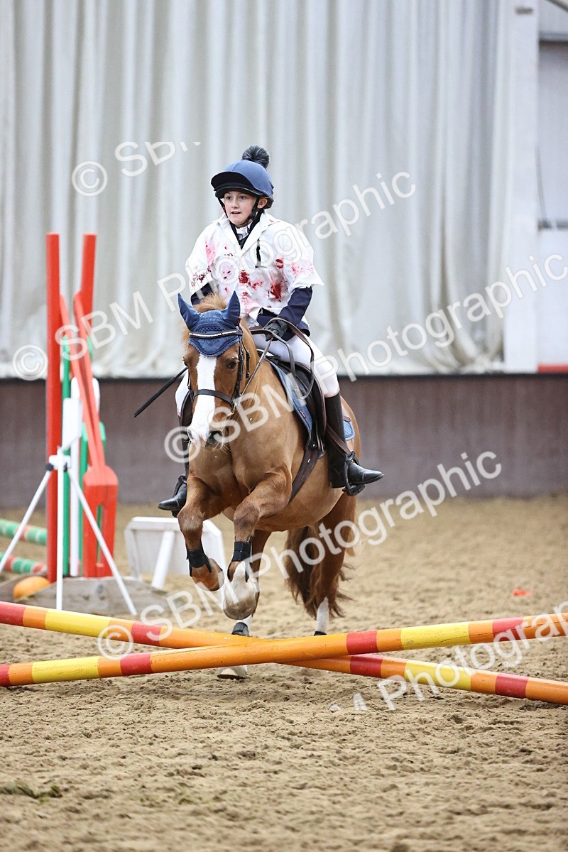 SBM_000638 - Class 2 - Show Jumping 50cm