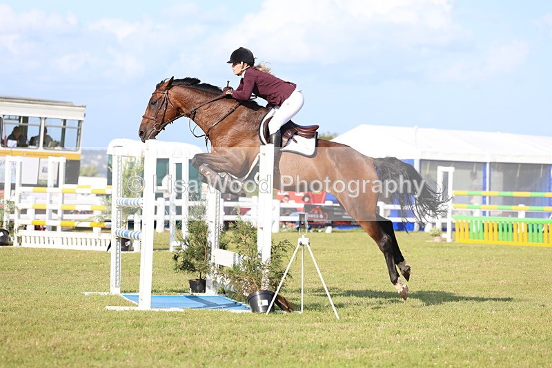 3E7A4444 - Class C: Showjumping Senior Foxhunter