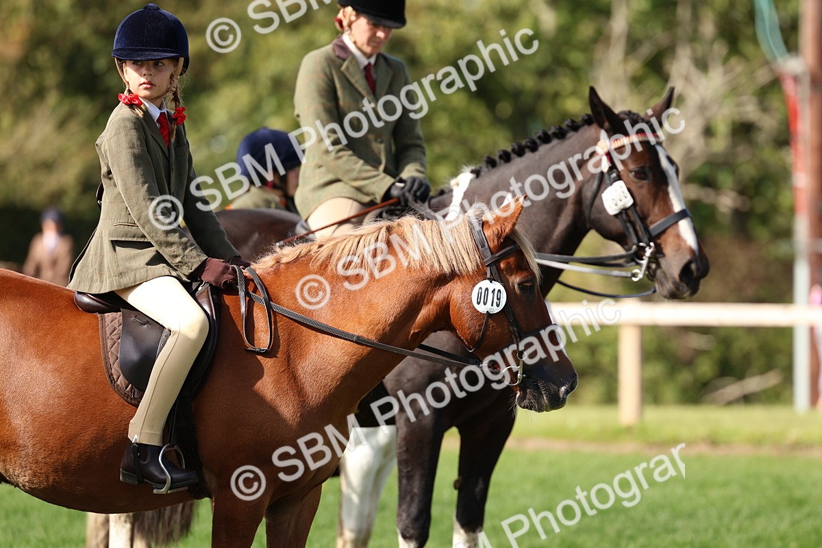 SBM_45310 - S27 - Young Veteran Ridden