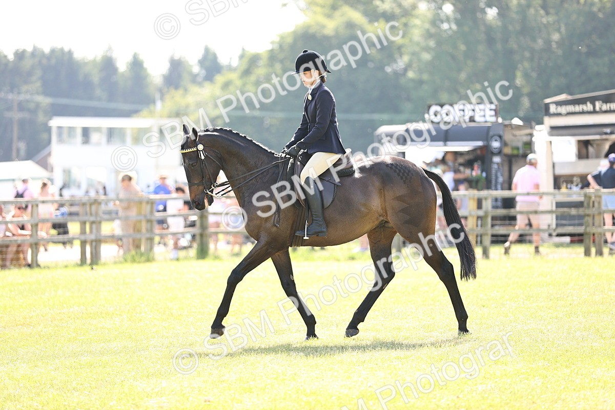 SBM_12931 - Class 75-76 LIHS BSHA Rising Star Hack Riding Horse