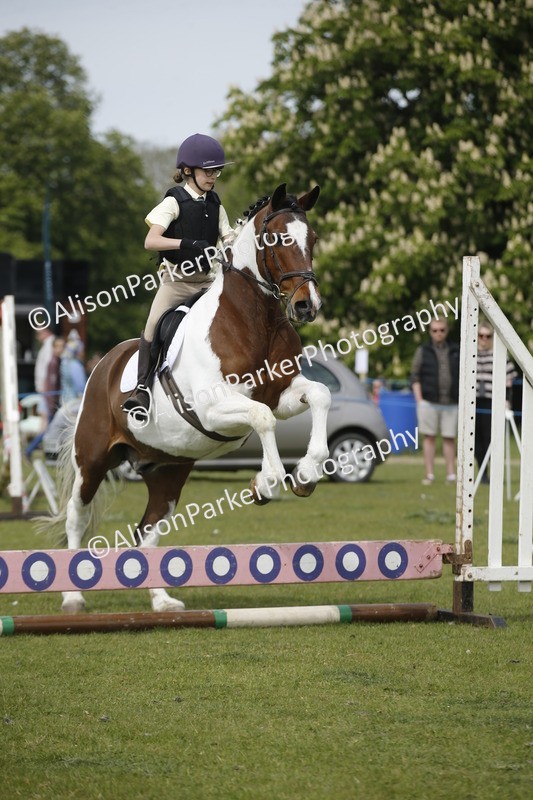 20260426-4656 - Class 5 - Hoof and Foot