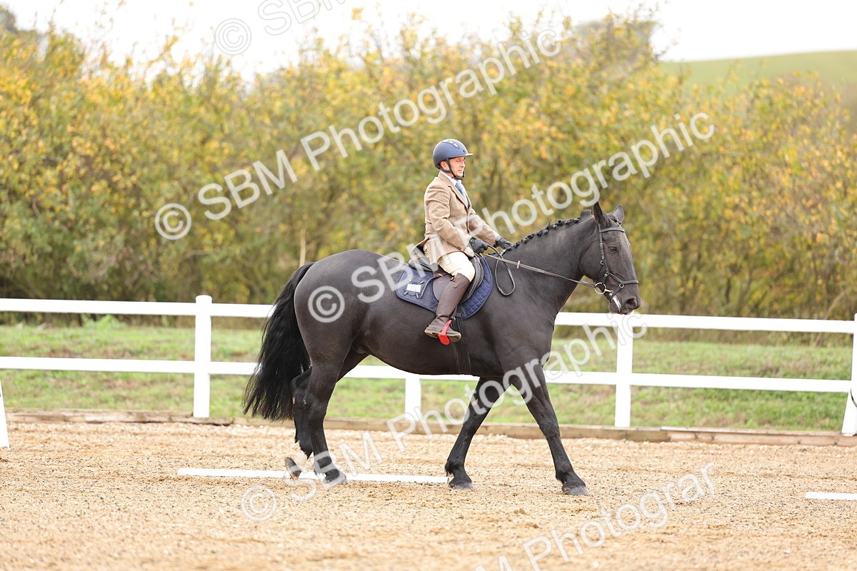 SBM_000113 - Intro 2