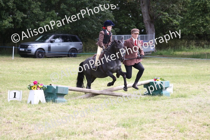 20260614-0572 - Class 20 - Beginners Working Hunter Pony