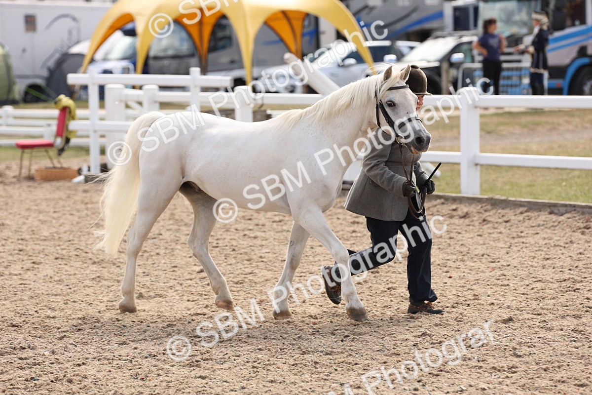 SBM_15061 - Class 209 - IH Veteran Pony