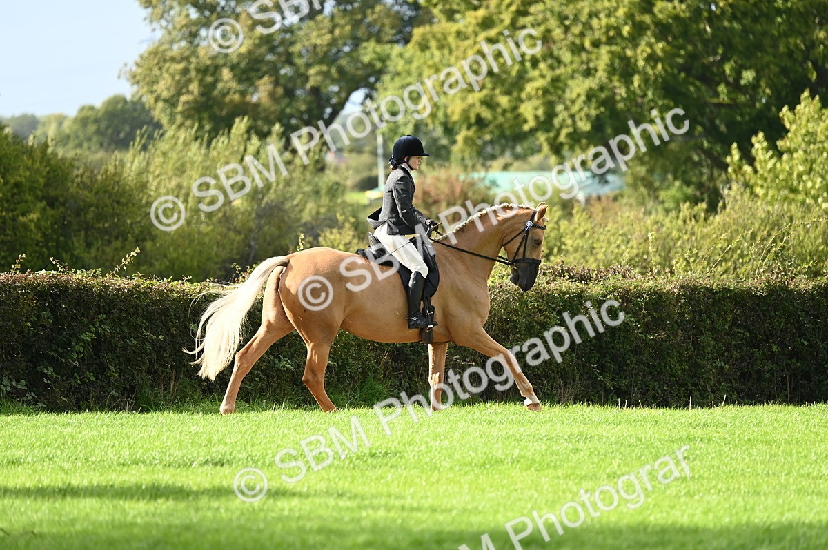 SBM_26408 - S6 - Novice & newcomer Ridden horse