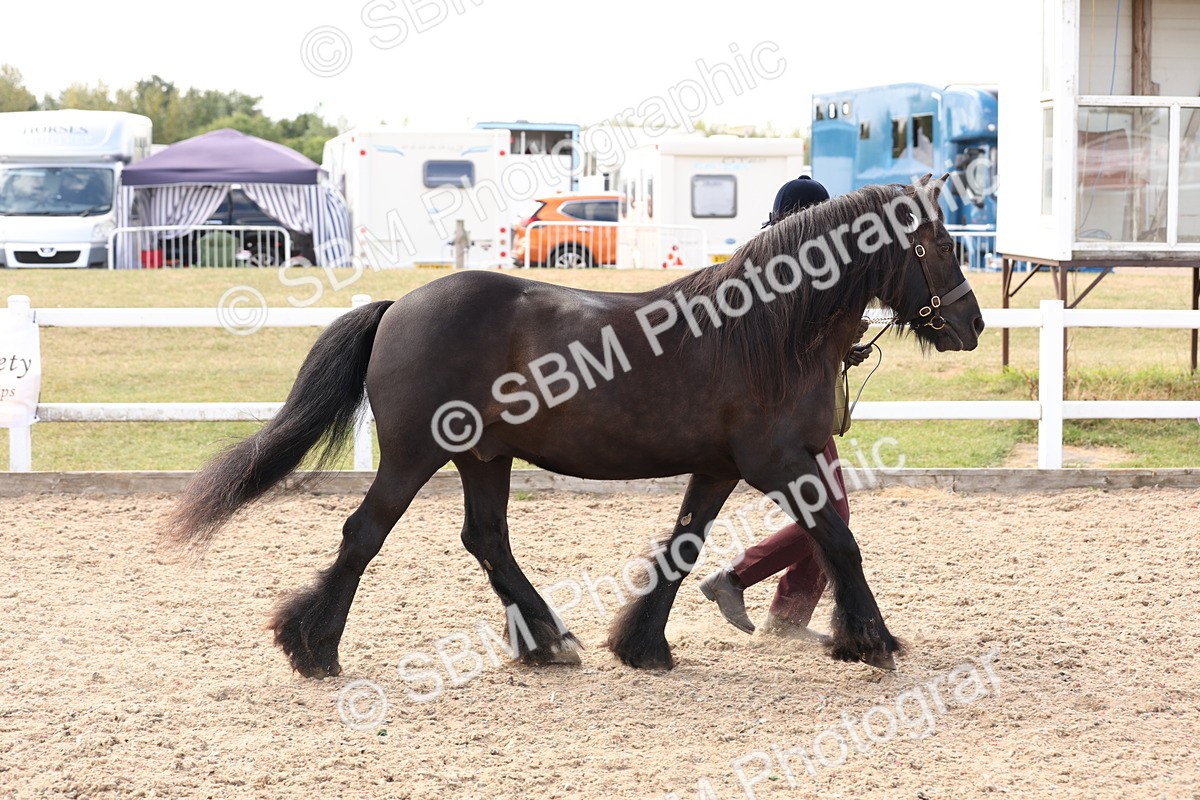 SBM_15083 - Class 209 - IH Veteran Pony