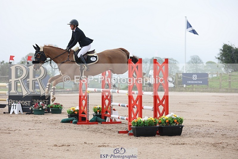 250424-083233-02372 - Cls 25 Young Horse 5yr old