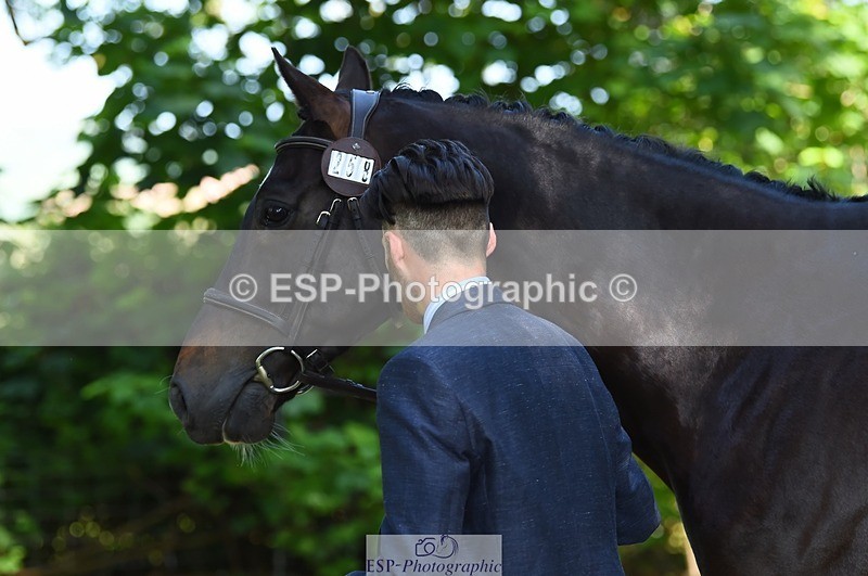 230524-161728-00819 - 258-DHI_KING_NELSON-Barnie_Brotherton-WEDTrotUp+DR