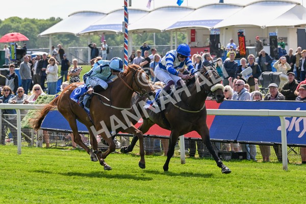 140525-Race 1-Almoshher-1586 - Race 1 2.10pm Sky Bet Race To The Ebor Jorvik Handicap