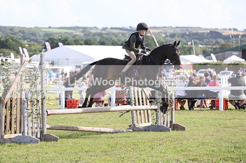 JPP_2780 - Class 20: Working Hunter 70cm