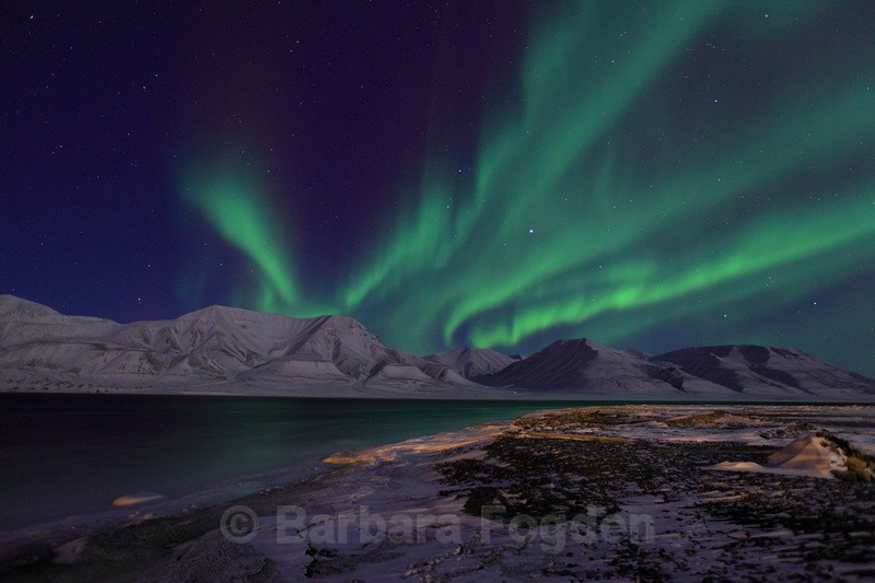 Northern light over adventfjorden - Polar night