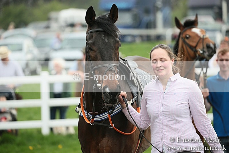PtP 210418 150 - South & West Wilts Point-to-Point Larkhill 21/04/18