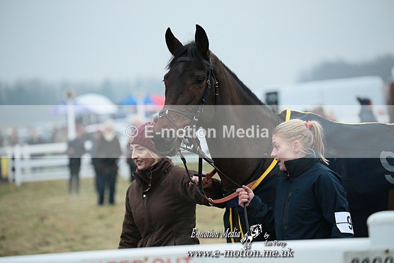 PtP 261123 46 - Hursley Hambledon Point-to-Point Larkhill 26 Nov 2023