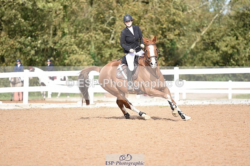 231015A-130924-08218 - Cls 25 95cm Amateur Q 2nd R