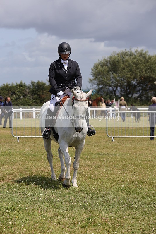 1X9A4537 - Class 34: Veteran Ridden