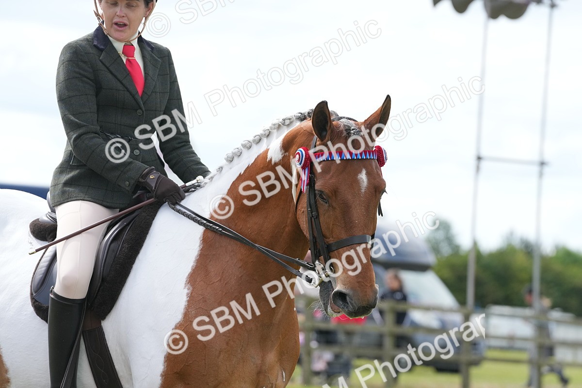 SBM_17592 - Class 107-108 - LIHS BSPS Performance Coloured Horse Pony