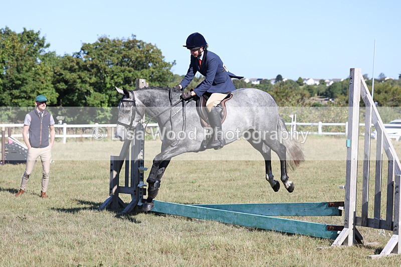 3E7A5458 - Class 3: Working Hunter 70cm