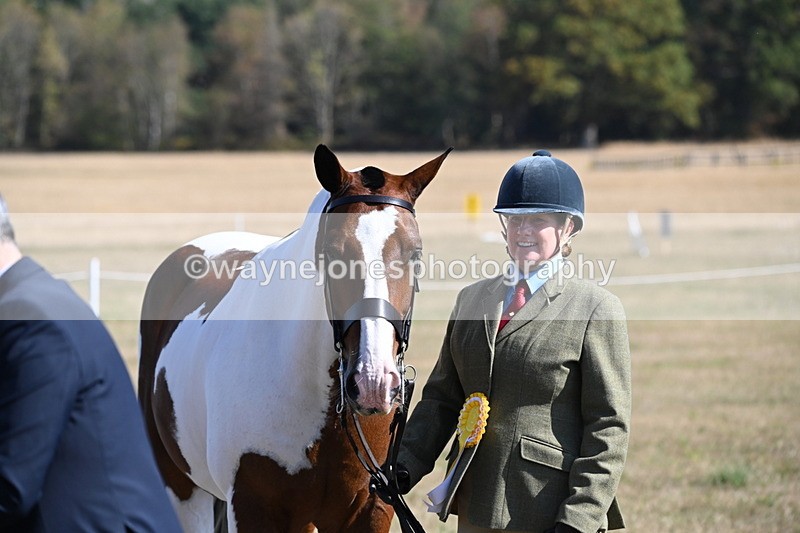 WJ6_4365 - Class 16 Condition & Turn Out