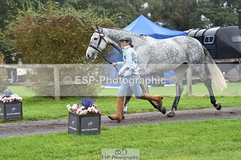 231018-122012-00215 - 028-BOLEYBAWN.COOLEY.LADY-Claire.Fielding-TrotUp