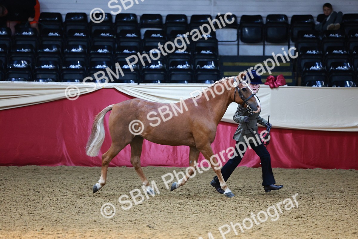 SBM_22309 - Class 902 - Supreme Final - IH Diamond