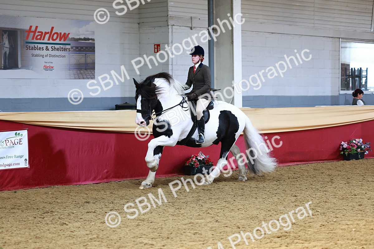 SBM_23485 - class 906 - Supreme Final - Ridden Pre Vet