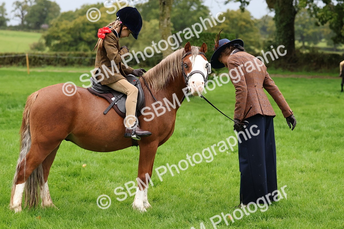 SBM_33352 - S8 - Best Turned Out