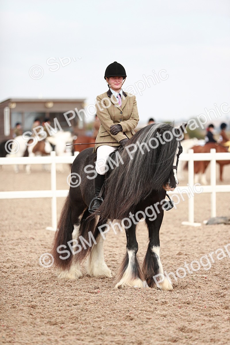 SBM_16765 - Class 214 Ridden Cob