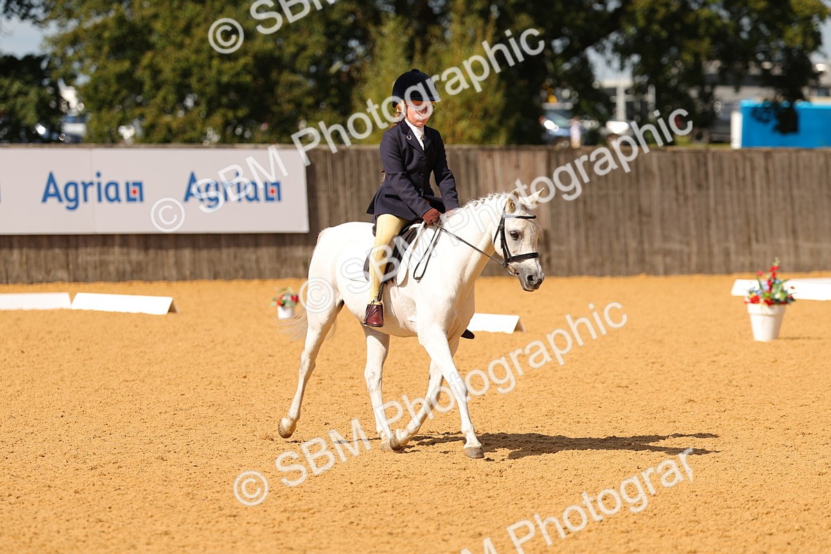 SBM_44147 - D22 - Junior Championship - Intro B