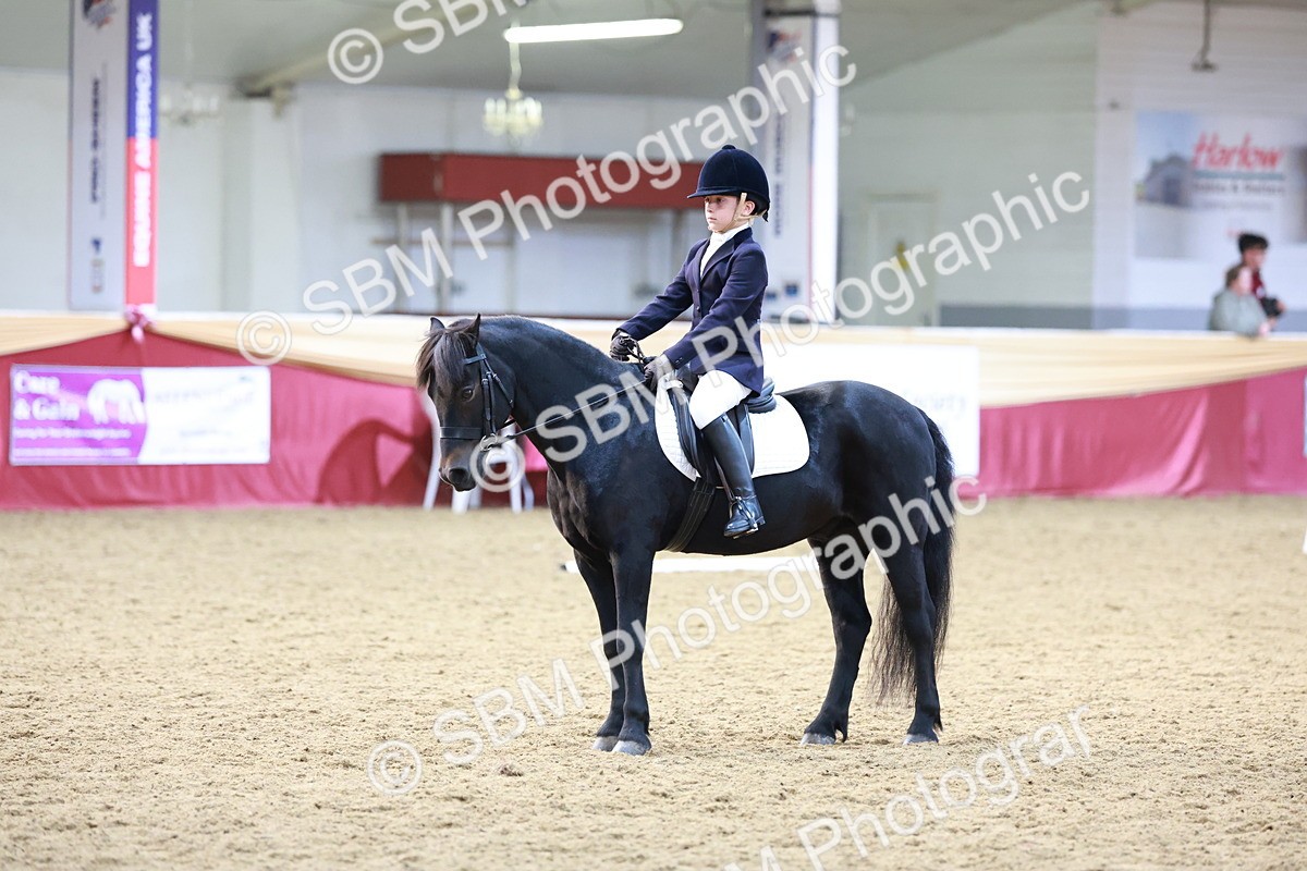 SBM_09217 - Class 61 - Dressage to Music