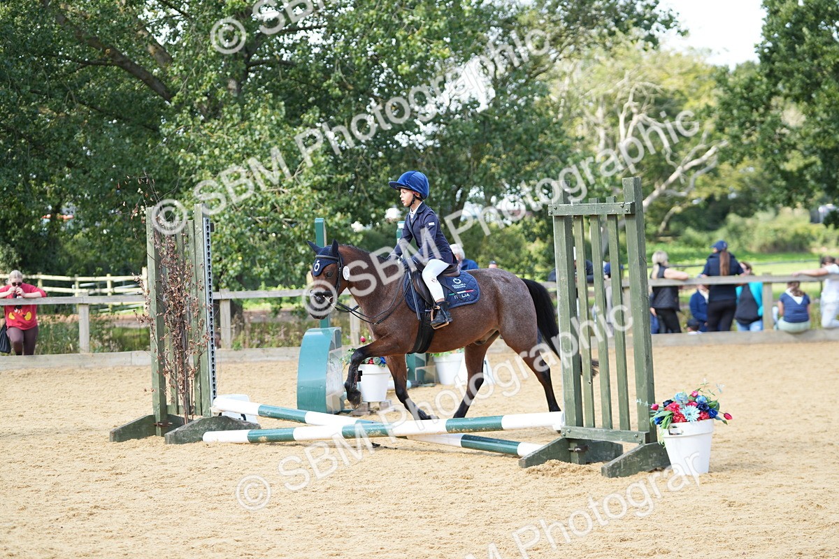 SBM_64614 - J2 - Mini Tour Junior Pony 30cm Championship