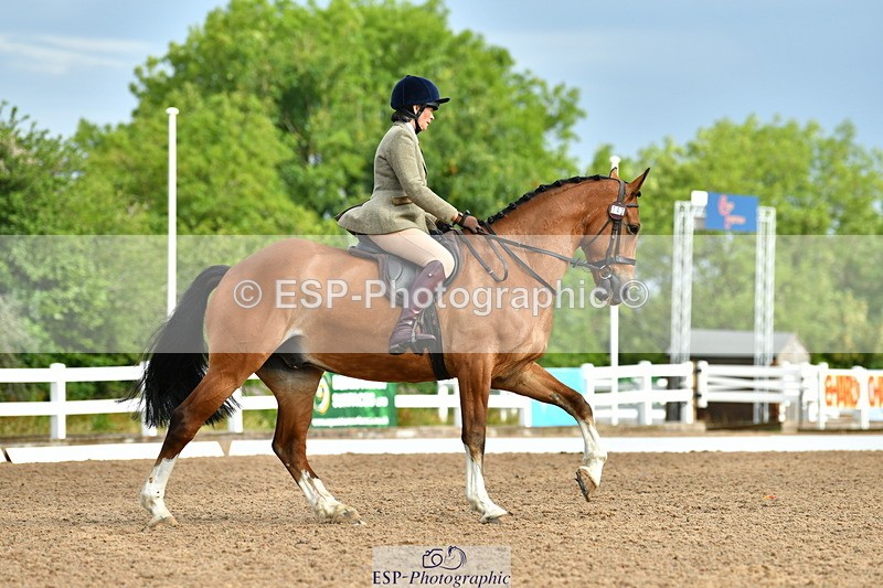 230708A-092515-02081 - Prelim 13