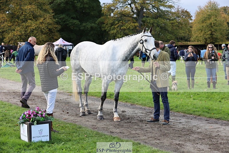 251026A-102116-22915 - E-389-Will.van.Ufford