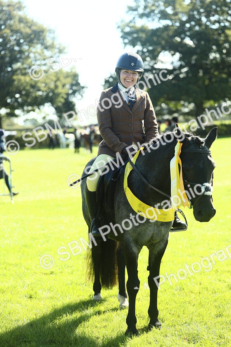 SBM_39102 - S29 - Novice & Newcomers Working Hunter Pony