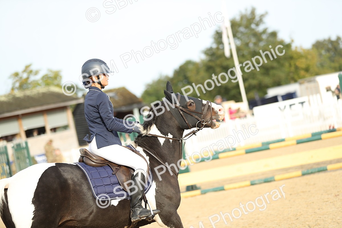 SBM_56019 - J24 - Junior Horse 75cm Championship