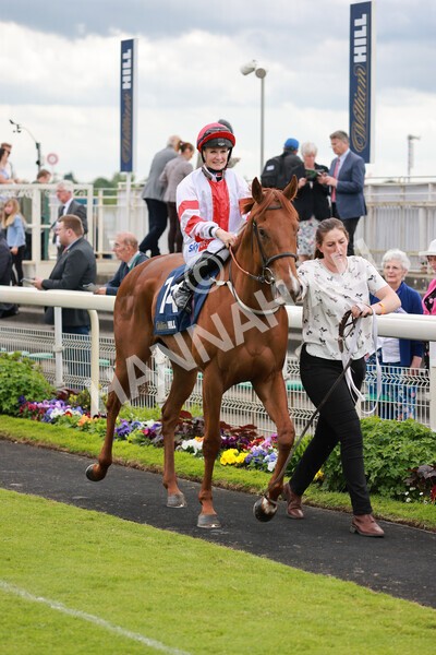 yr21052022r3-4 - Race 3: 3:30pm William Hill Best Odds Guaranteed Stakes