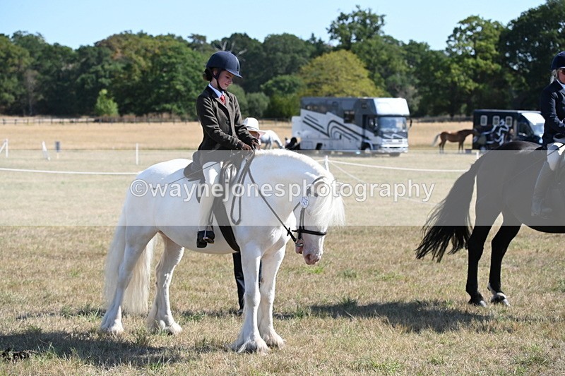 WJ6_7632 - Class 34 Judges Choice