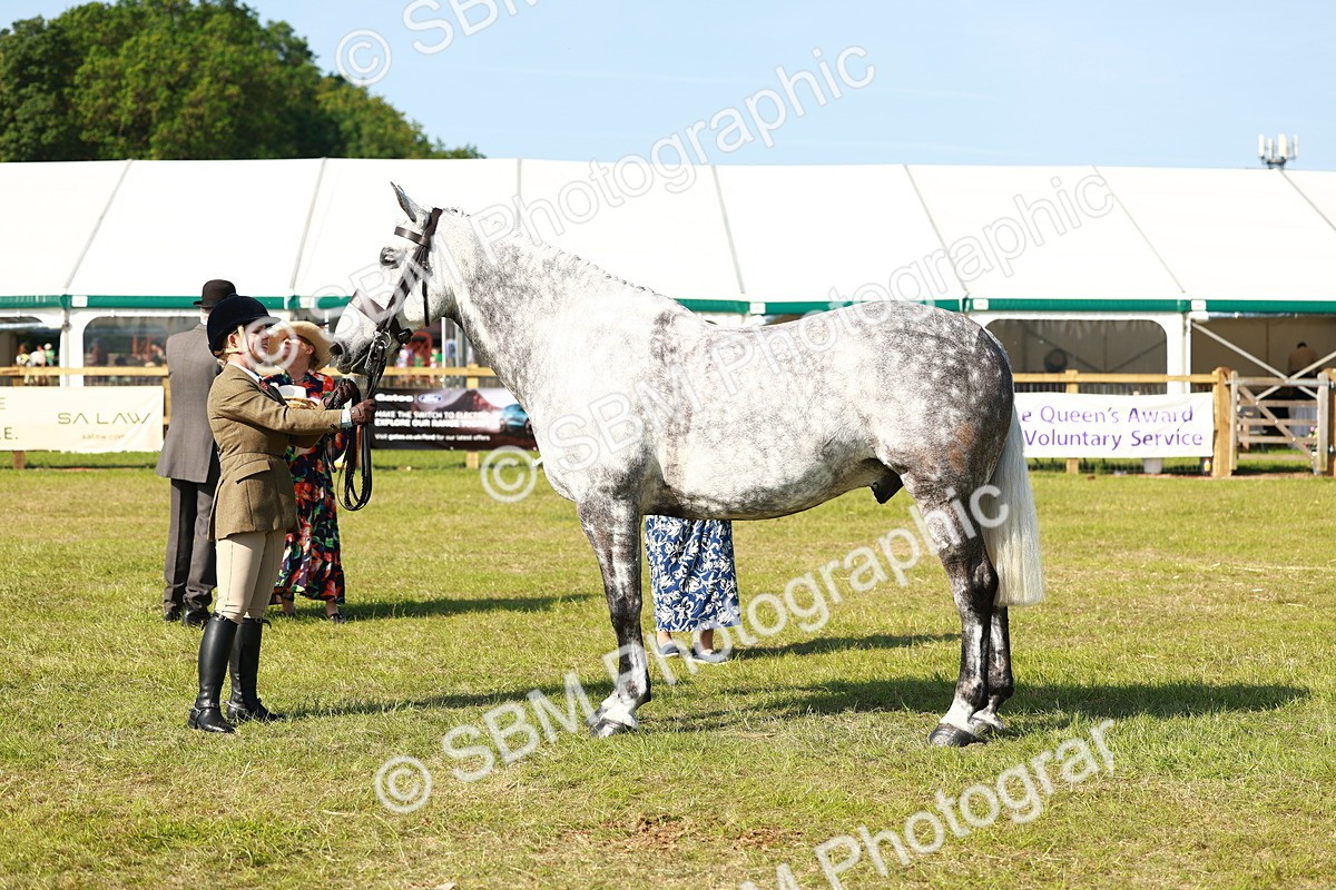 SBM_11808 - Class 66-69 - RIHS Ridden Hunters Inc Small Hunter