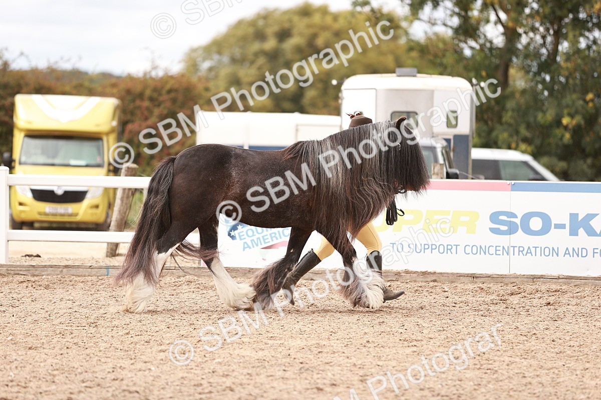 SBM_16287 - Class 413 - Best Condition - Adult