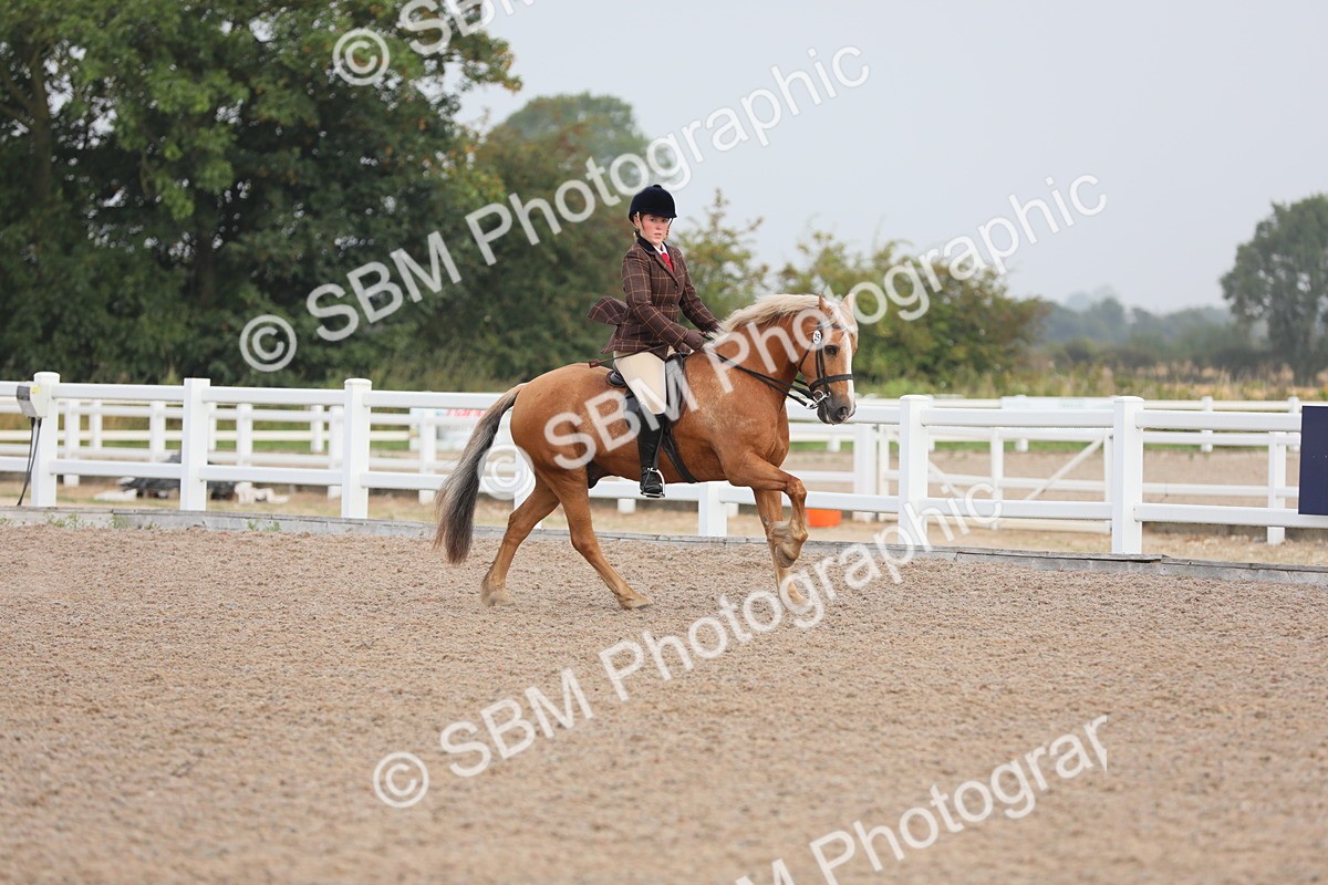 SBM_10009 - Class 302 Ridden M&M -Large Breeds